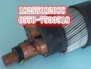 BTTVZ-4*10礦物絕緣耐高溫電纜解析 安徽天康集團的產品結構與優勢