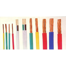 山東陽谷特種電纜與五金電器產業 區域經濟的重要支柱